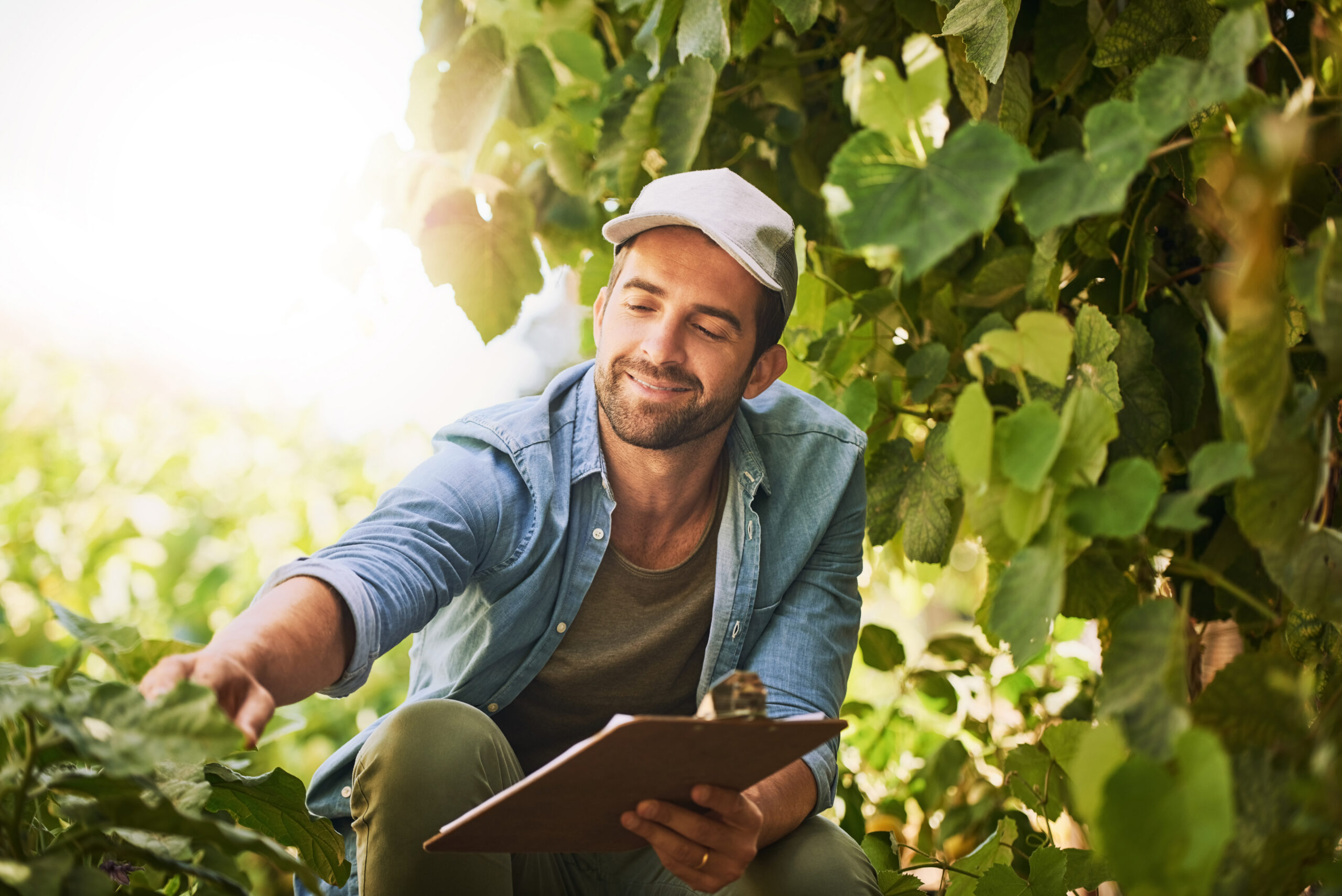 A smiling man in a cap and denim shirt inspects plants in a greenhouse, holding a clipboard.